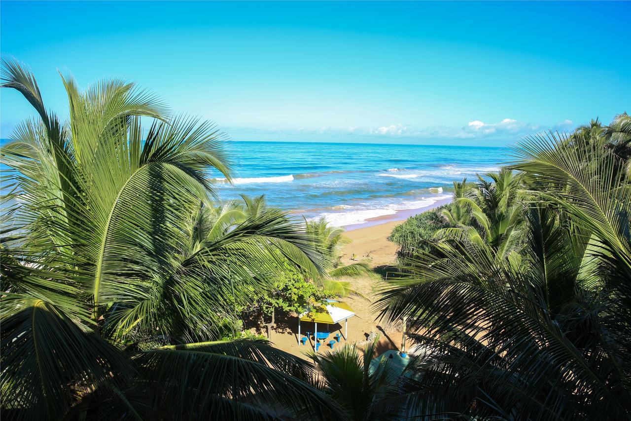 Oasey Ayurveda Hotel Bentota Kültér fotó